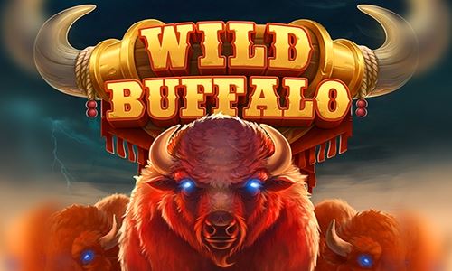 Wild Buffalo